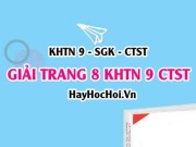 Giải KHTN 9 trang 8 Chân trời sáng tạo SGK
